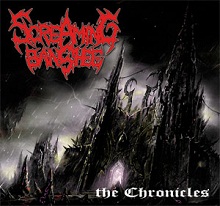 Screaming Banshee The Chronicles | MetalWave.it Recensioni