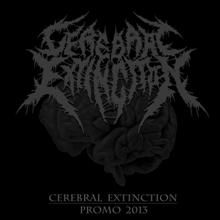 Cerebral Extinction Promo 2013 | MetalWave.it Recensioni