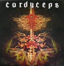 Cordyceps Cordyceps | MetalWave.it Recensioni