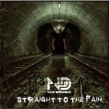 New Disorder Straight To The Pain | MetalWave.it Recensioni