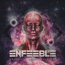 Enfeeble Momentum Of Tranquility | MetalWave.it Recensioni