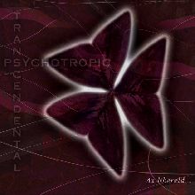 Psychotropic Transcendental Ax Libereld... | MetalWave.it Recensioni