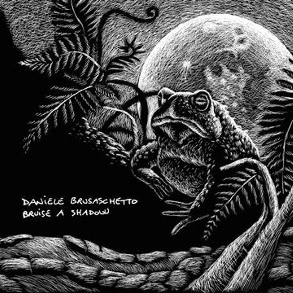 Daniele Brusaschetto Bruise A Shadow | MetalWave.it Recensioni