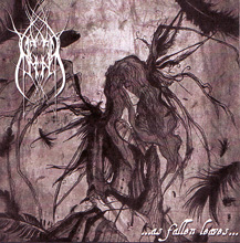 Veiled Moon ...as Fallen Leaves... | MetalWave.it Recensioni