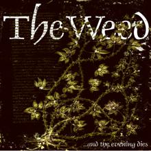 The Weed ...and The Evening Dies | MetalWave.it Recensioni