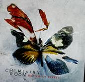 Chemistry Room Butterfly Effect | MetalWave.it Recensioni