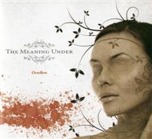 The Meaning Under Overflow | MetalWave.it Recensioni