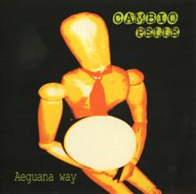 Aeguana Way Cambio Pelle | MetalWave.it Recensioni