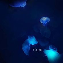 Miotic Miotic Ep | MetalWave.it Recensioni