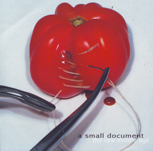 A Small Document The New Middle Age | MetalWave.it Recensioni