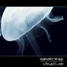 Weakness In Their Structure Weakness In Their Structure | MetalWave.it Recensioni