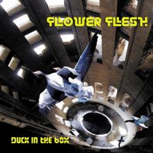 Flower Flesh Duck In The Box | MetalWave.it Recensioni