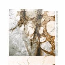 Psychofagist Songs Of Faint And Distortion | MetalWave.it Recensioni