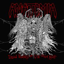 Anatomia Dead Bodies In The Morgue | MetalWave.it Recensioni