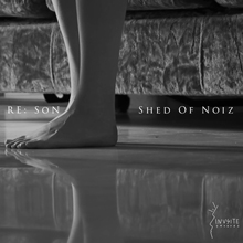 Shed Of Noiz Re:son (reissue) | MetalWave.it Recensioni