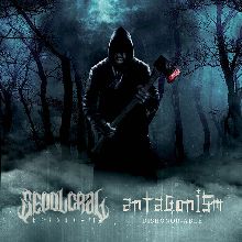 Sepolcral / Antagonism Reborn Vi / Dishonor-able | MetalWave.it Recensioni