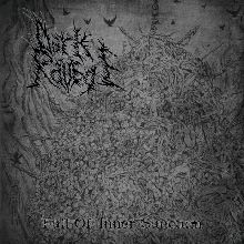 Dark Ravage The Fall Of Inner Sanctum | MetalWave.it Recensioni