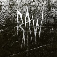 Raw From The First Glass To The Grave | MetalWave.it Recensioni