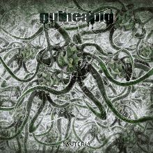 Guineapig Bacteria | MetalWave.it Recensioni